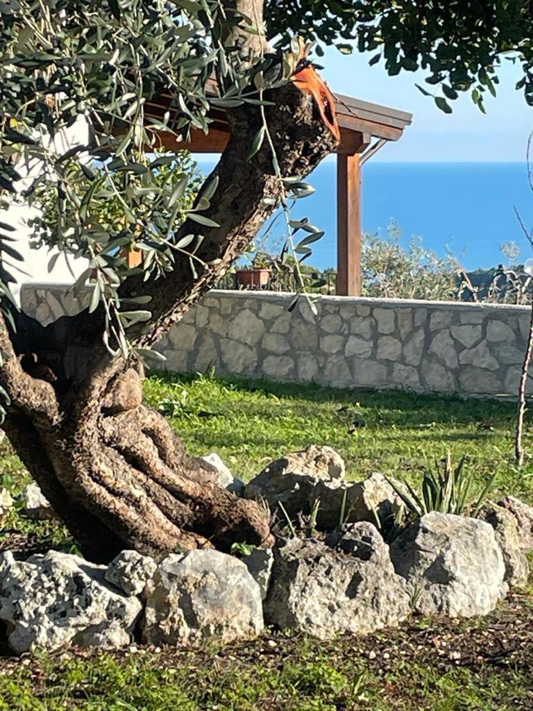 Tenuta Solleone Peschici Luaran gambar